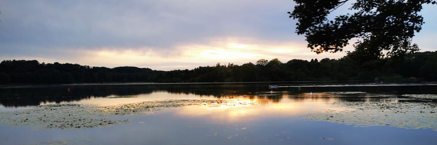 Mark A. Andor banner