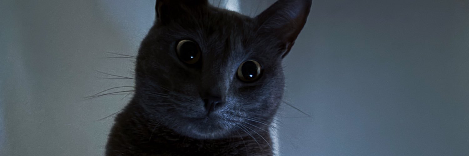 Kathsci_'s profile banner image