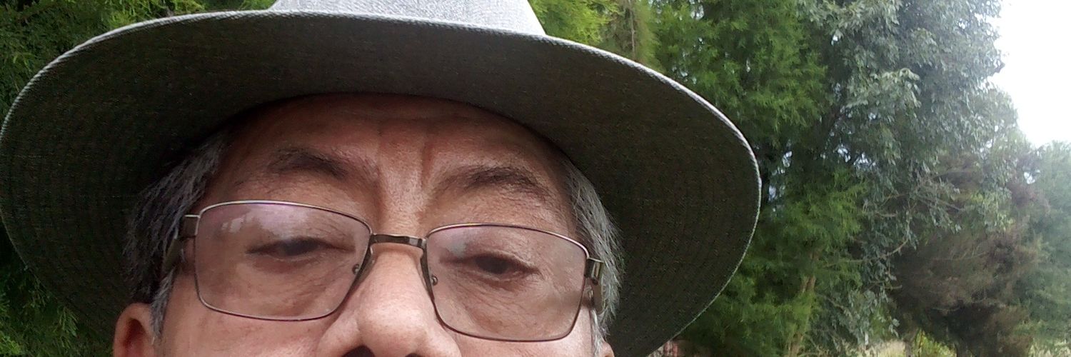 lperucho's profile banner image