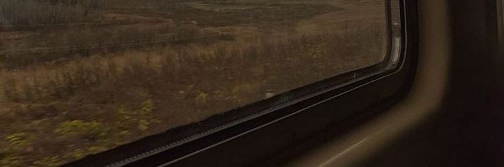 Omar Abdelsamee3 banner