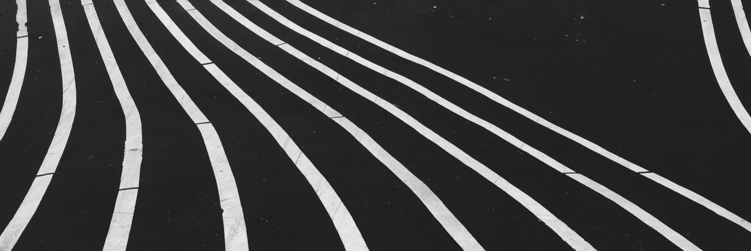 flingelli's profile banner image