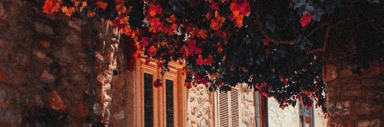 จ้อน banner