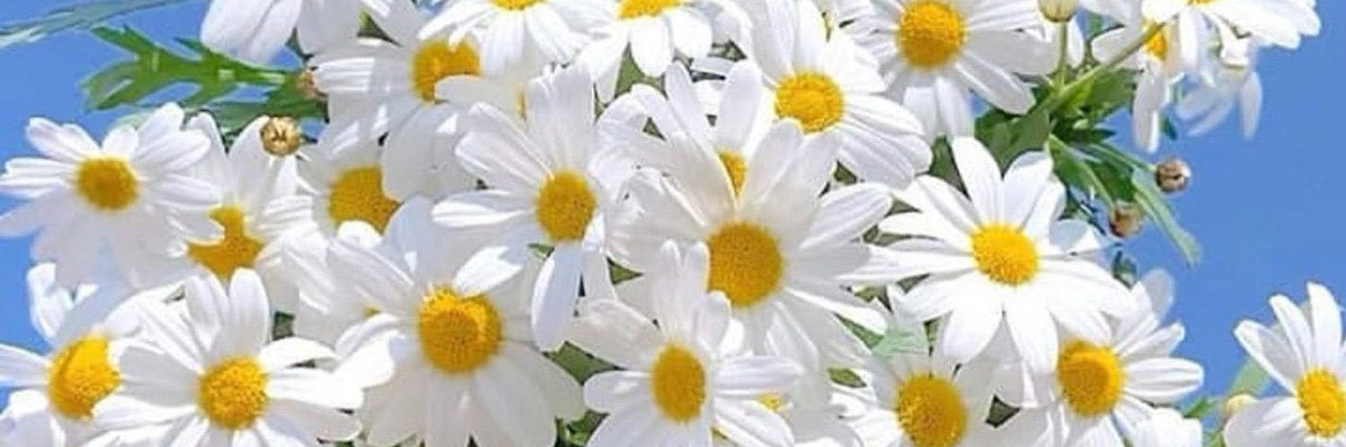 Oko_88888's profile banner image