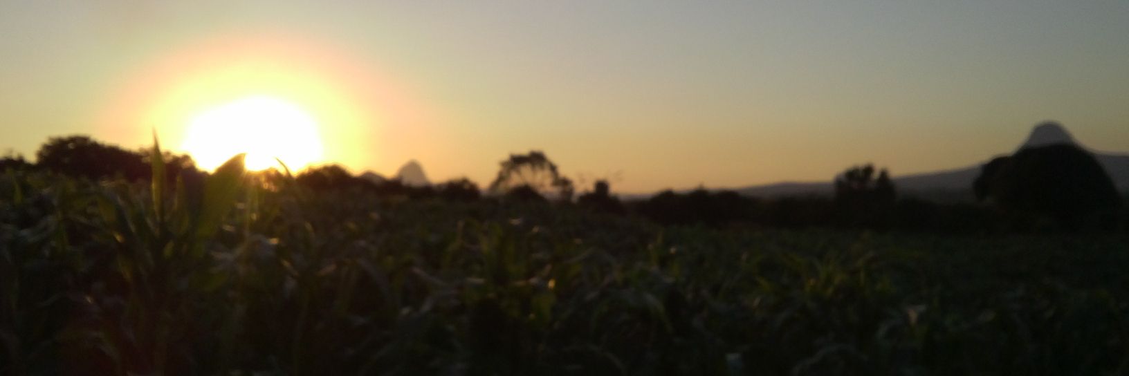 less940309's profile banner image