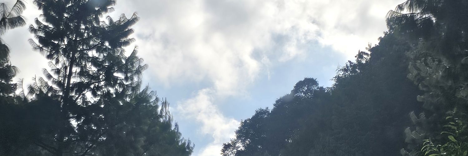 SusaaJauregui's profile banner image