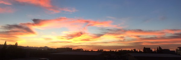 sayahnika Profile Banner