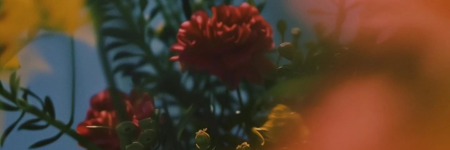 laucris__'s profile banner image