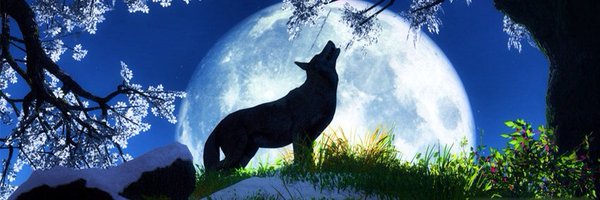 Hroadie Profile Banner