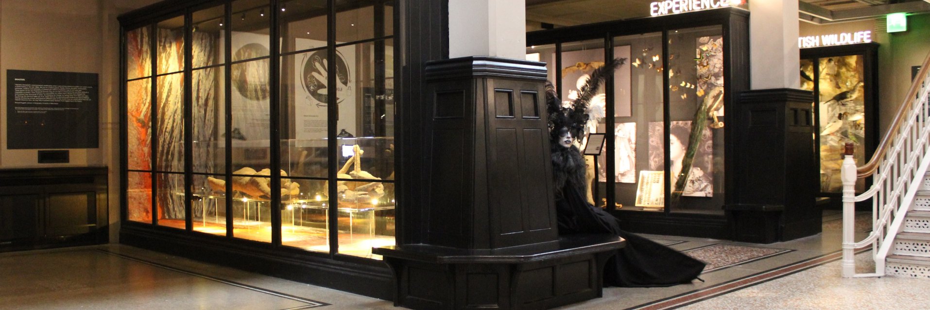 Michelle Scott banner