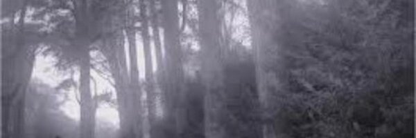 pilgrim2glory Profile Banner