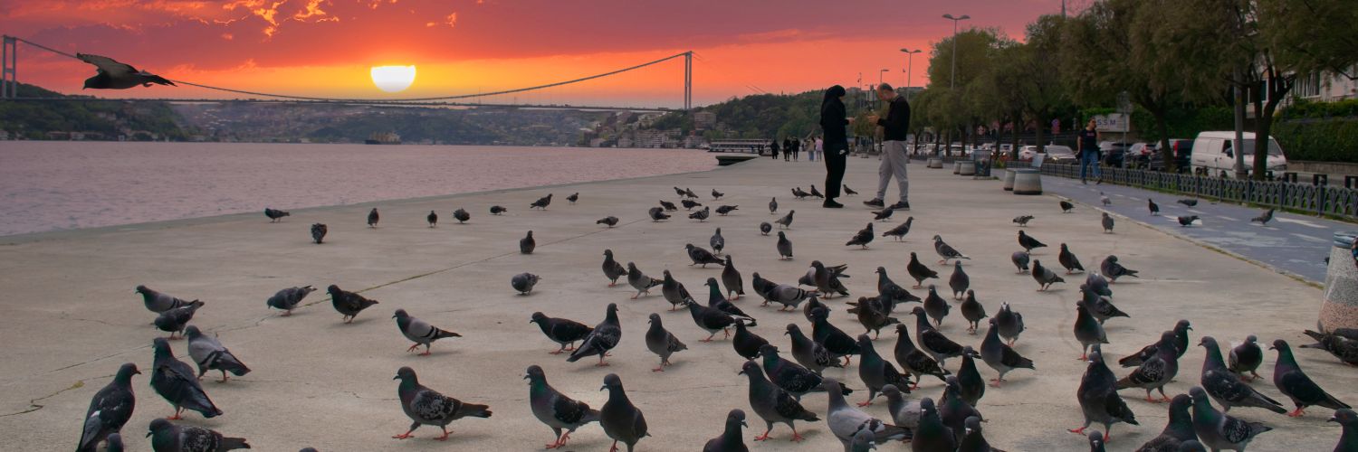 hsb1905's profile banner image