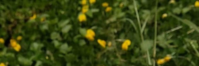 addyvi_9's profile banner image