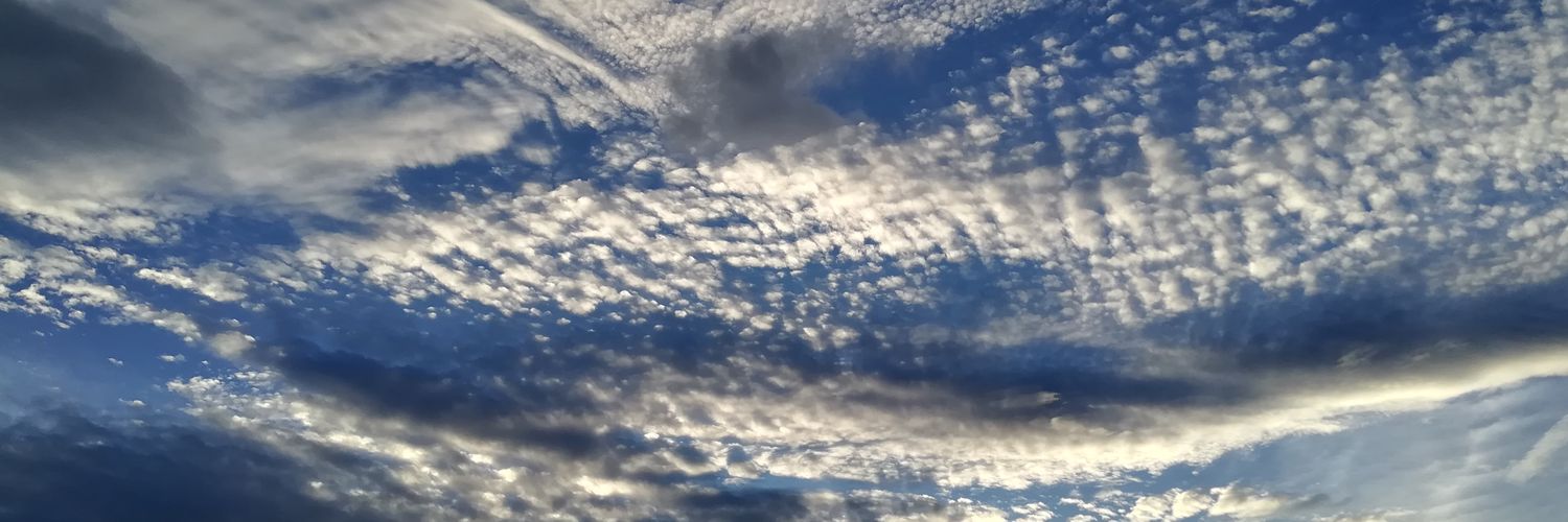 Bryanjcruz's profile banner image
