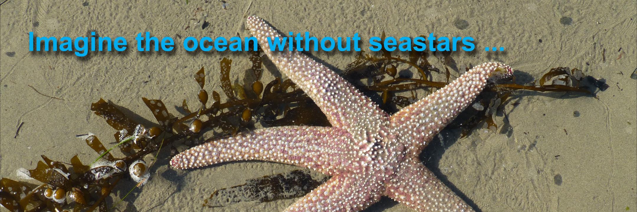 Patricia Tighe banner