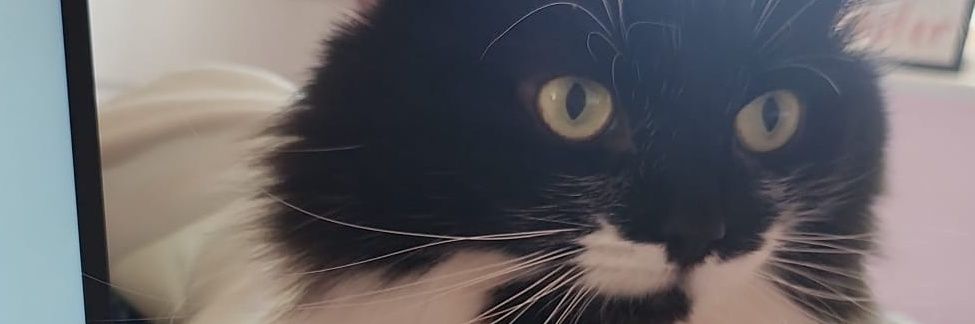 AaCon21's profile banner image