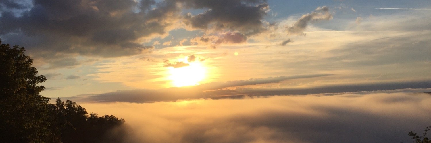 RonaldElkins's profile banner image