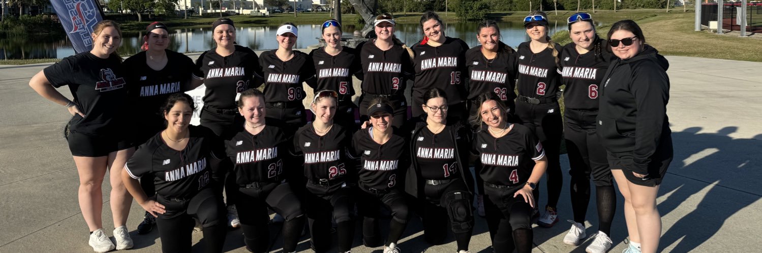 AMCAT Softball banner
