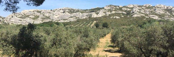 Coxigru Profile Banner