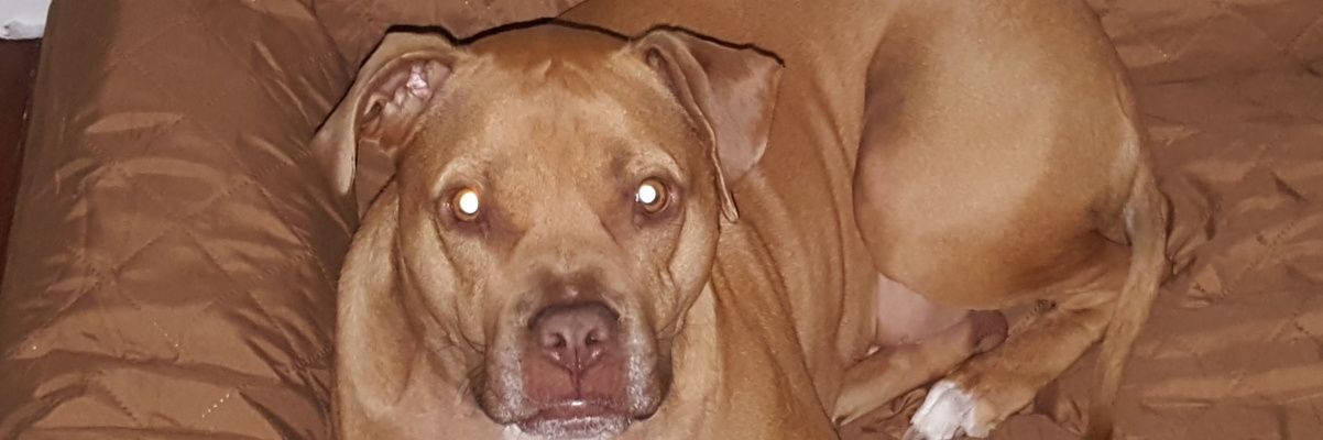 BenGarnes's profile banner image