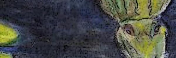 TheSwampSF Profile Banner