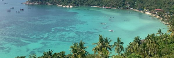 Analytikern1234 Profile Banner