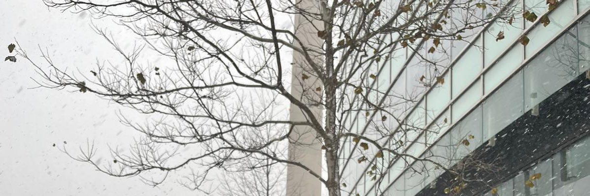 ABA1230321's profile banner image
