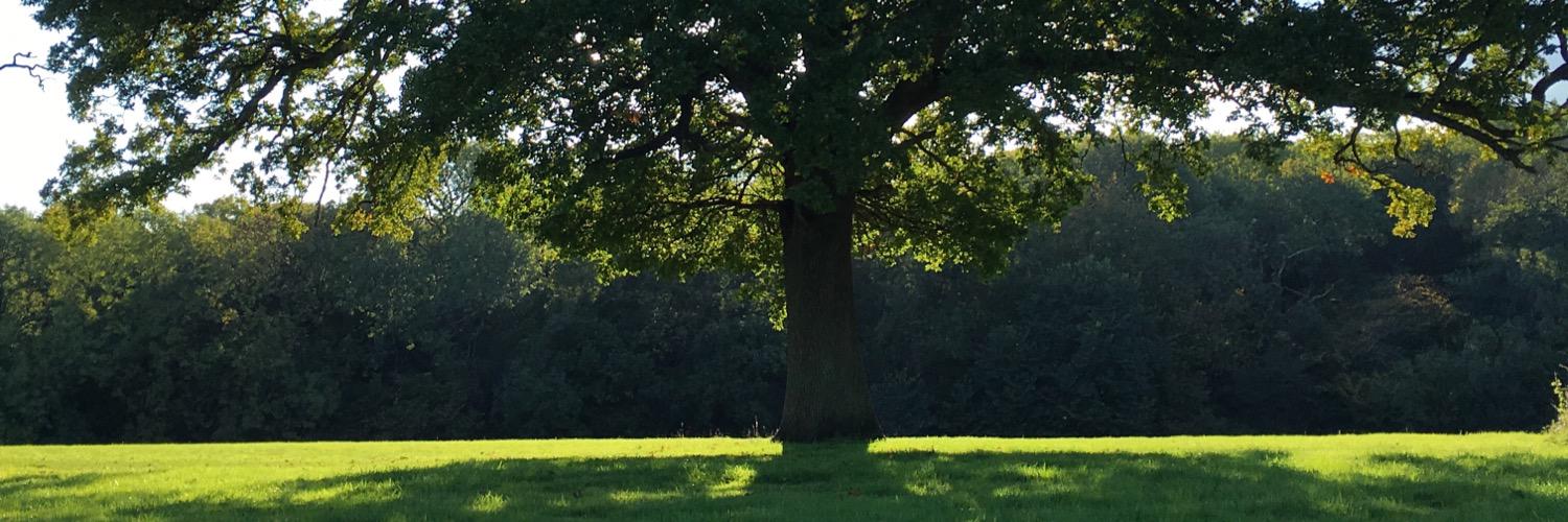 FordRuff's profile banner image