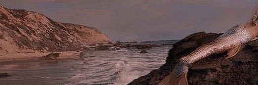 ﹐ coɾdeliɑ｡ banner