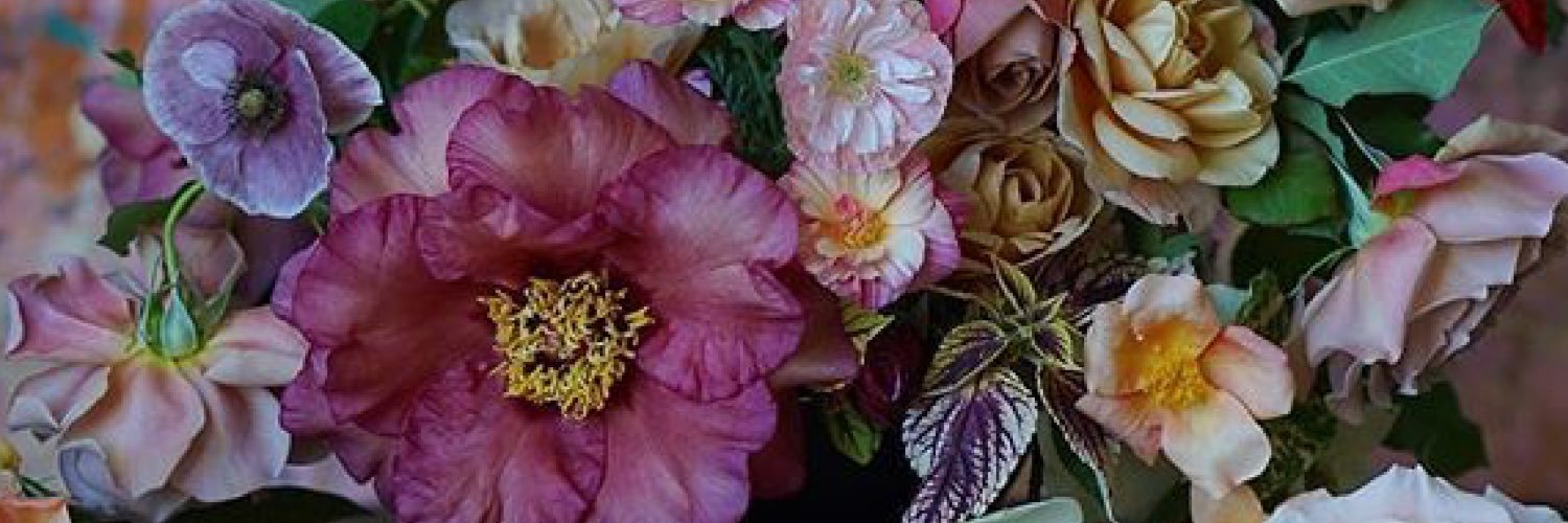 tgg_13's profile banner image