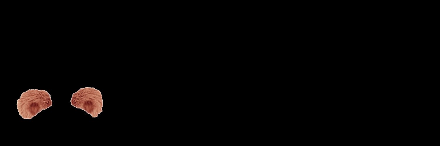 AyrinPhoenix's profile banner image