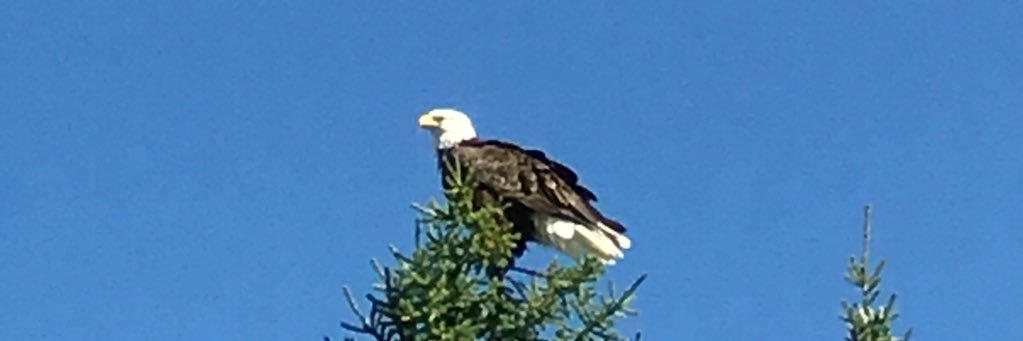 bwagoner66's profile banner image