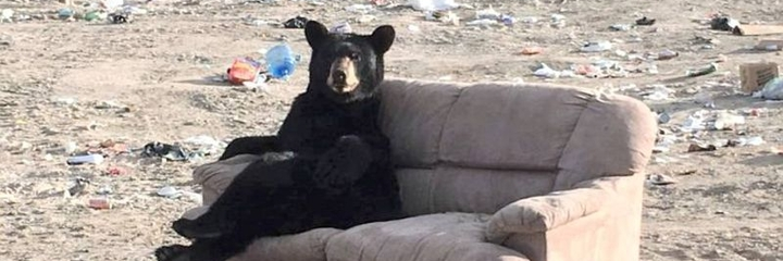 sis@あなたの名前を呼んでいいかな？☺ banner