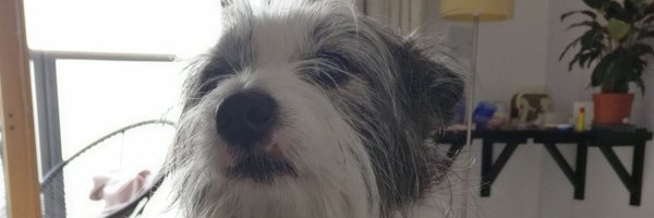 _williamkennedy Profile Banner