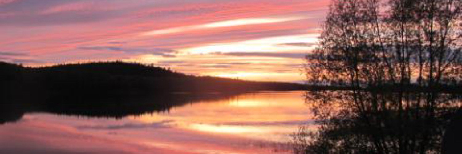 PegForan's profile banner image