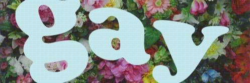 sethy banner