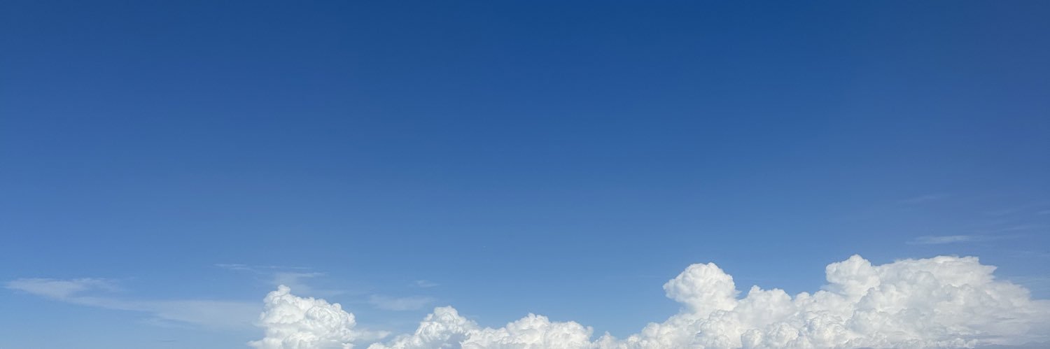 pandadomic's profile banner image