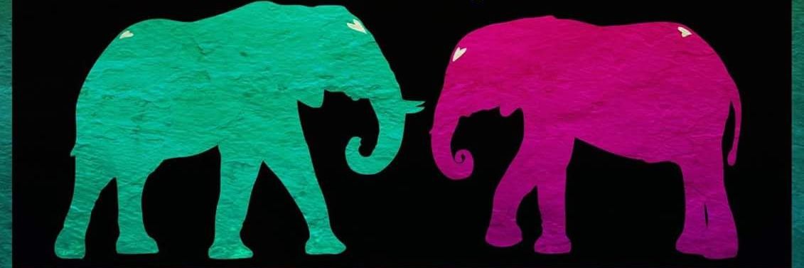 NikkiLuvsDC2's profile banner image