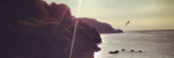 bfootarch_sam Profile Banner
