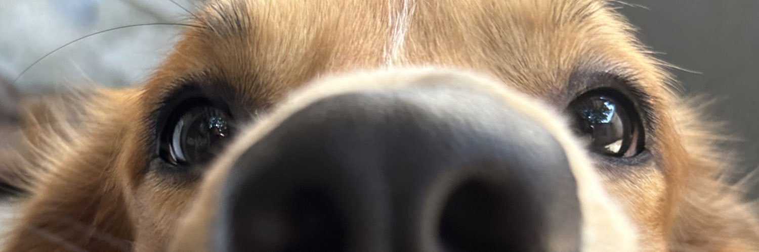 maluandradeb's profile banner image