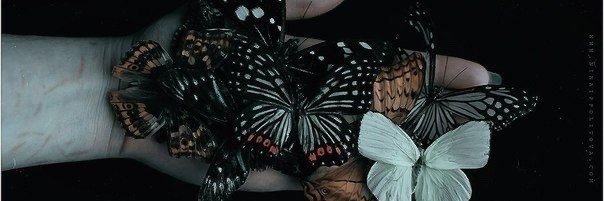 tanitadanae's profile banner image