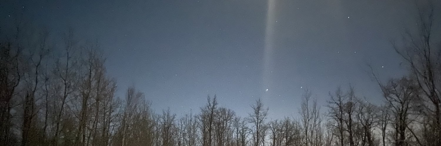 True Leveller, P.Eng. banner