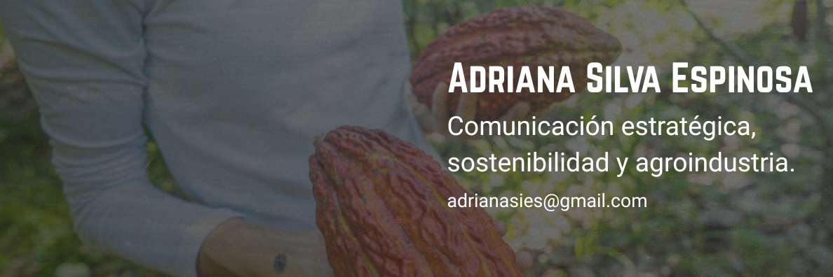 dranzalis's profile banner image