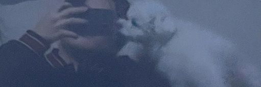 Z&H💚 banner