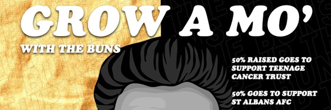St Albans AFC banner