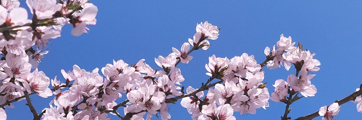 rexhmily1874's profile banner image