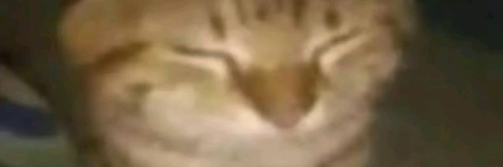 El_Anexado69's profile banner image