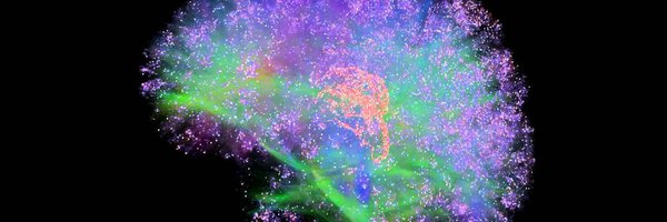 UMconsciousness Profile Banner