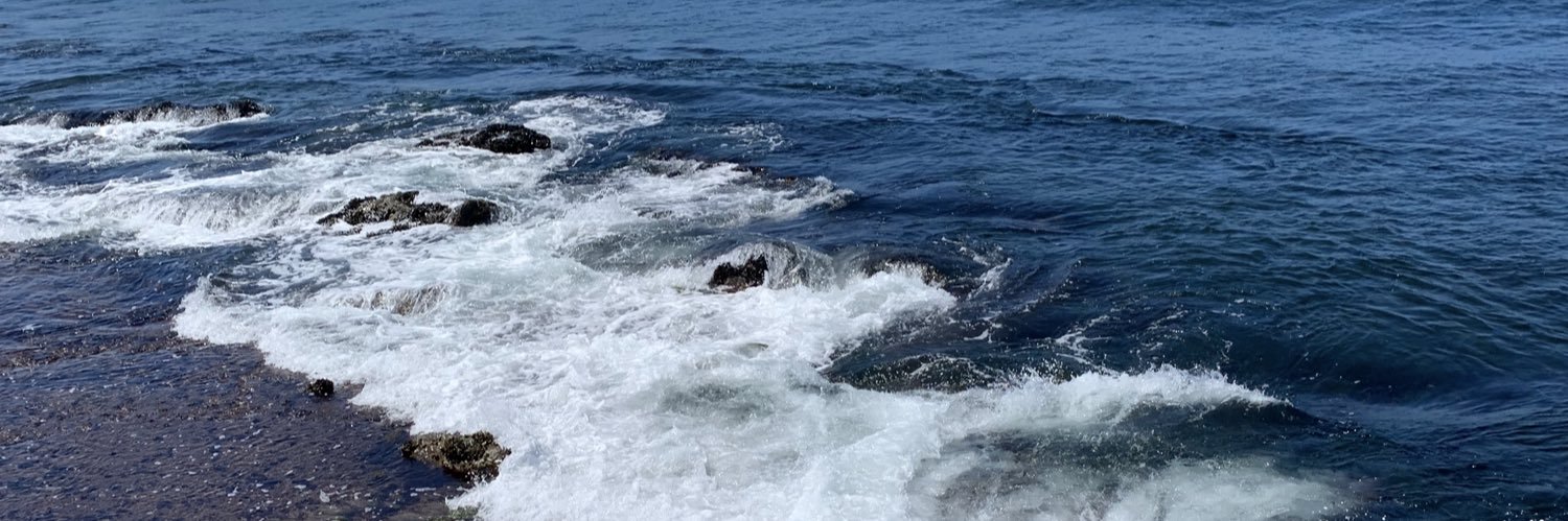 Julie Ouellette banner