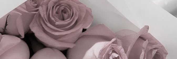 _suucho's profile banner image