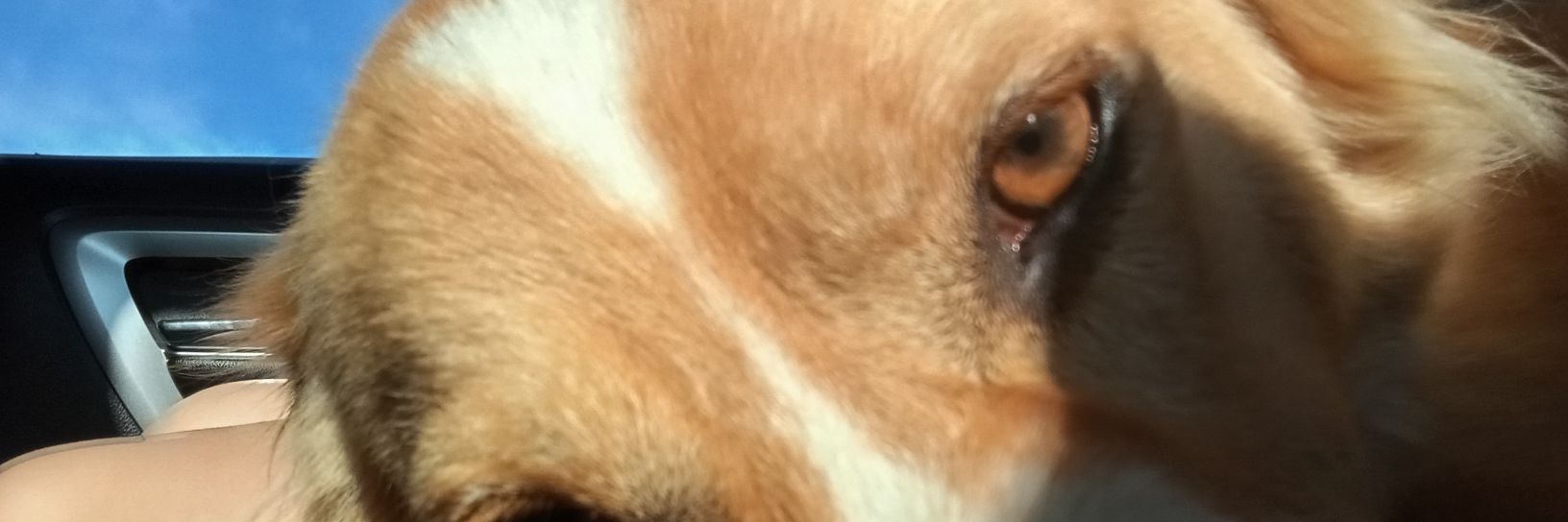 eespirisso's profile banner image